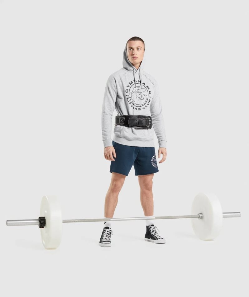 Men's Gymshark Legacy Hoodie Light Grey | NZ 2CUYGM